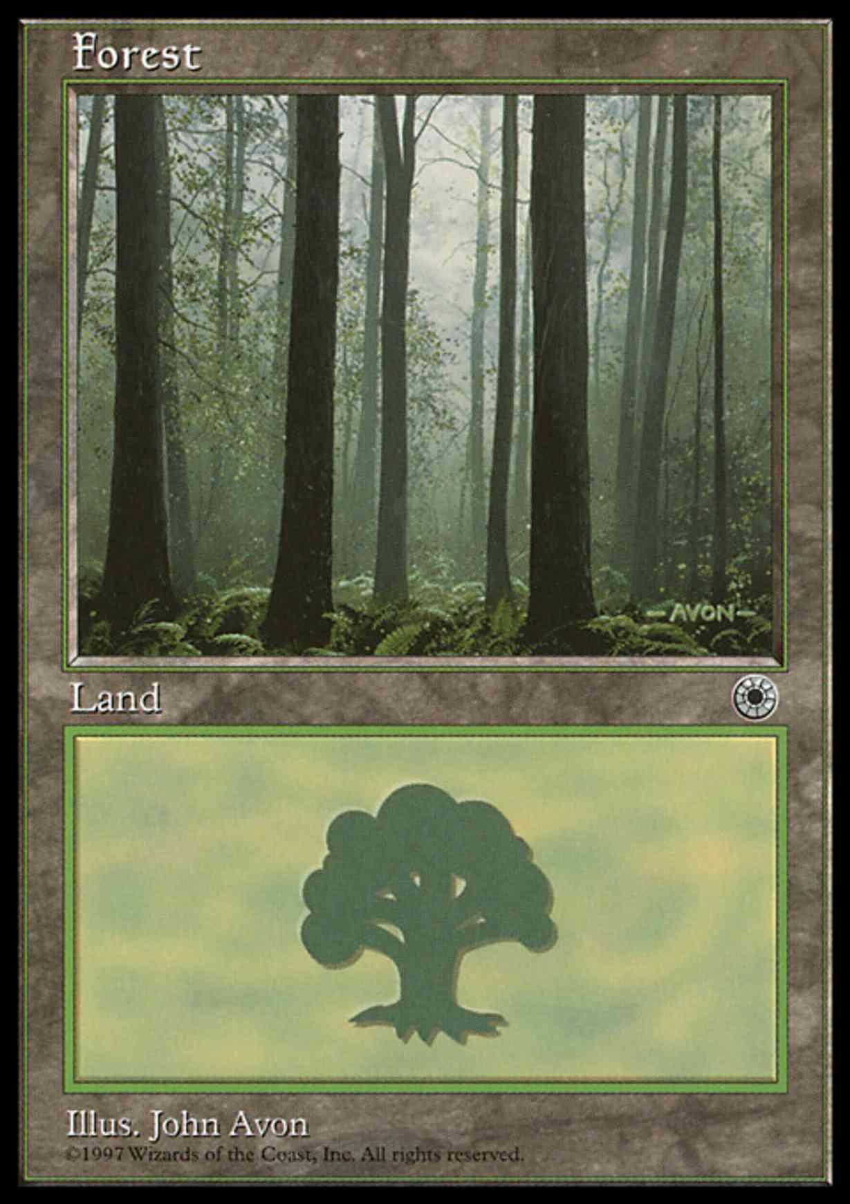 Forest (Ferns on Ground) magic card front
