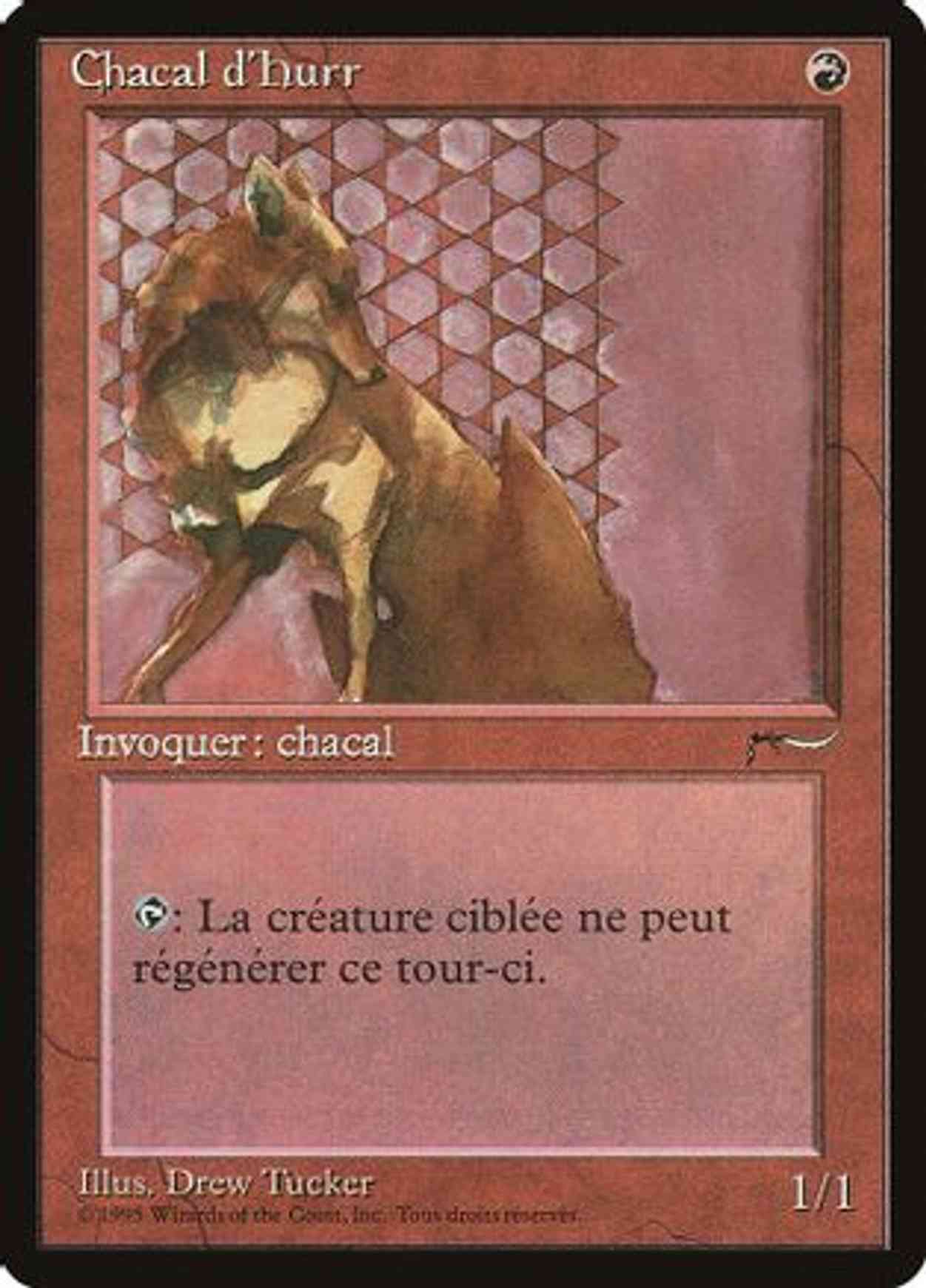 Hurr Jackal (French) - "Chacal d'Hurr" magic card front