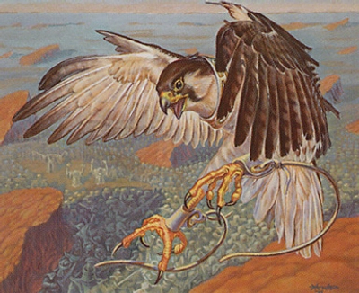 rebel-bird