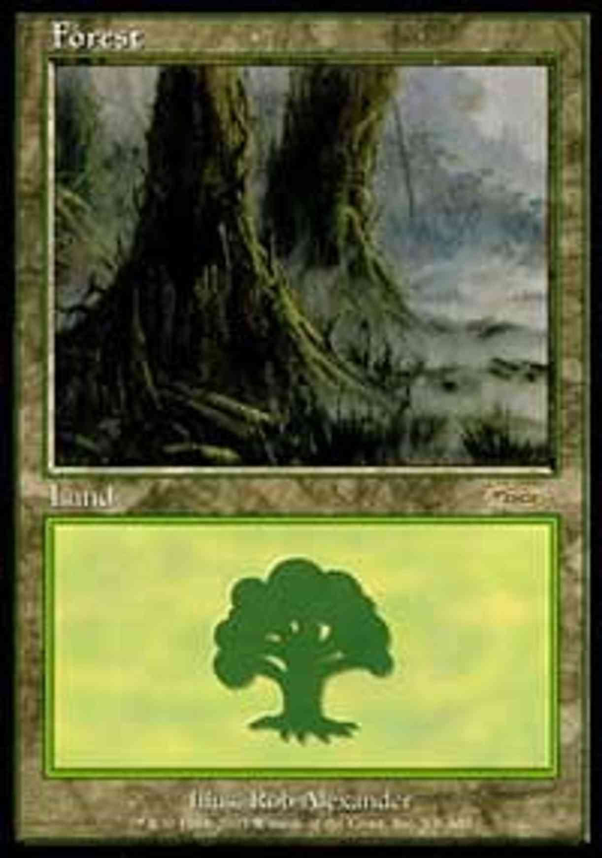 Forest (2003) magic card front
