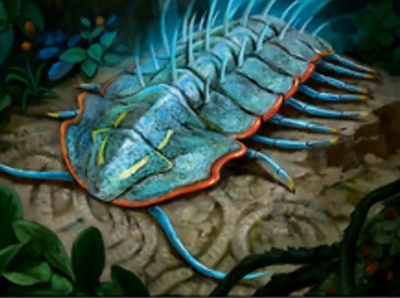 trilobite