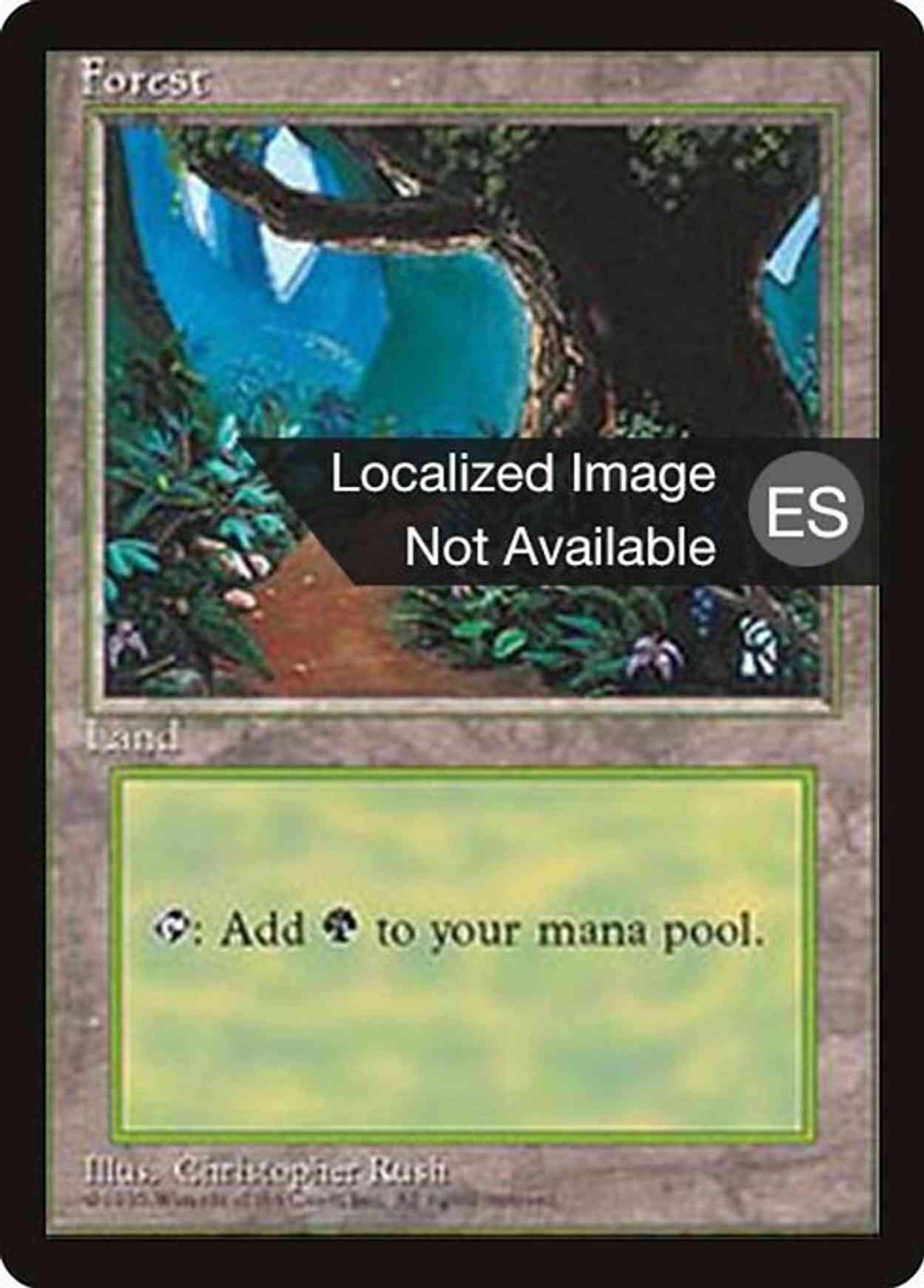 Forest (B) magic card front