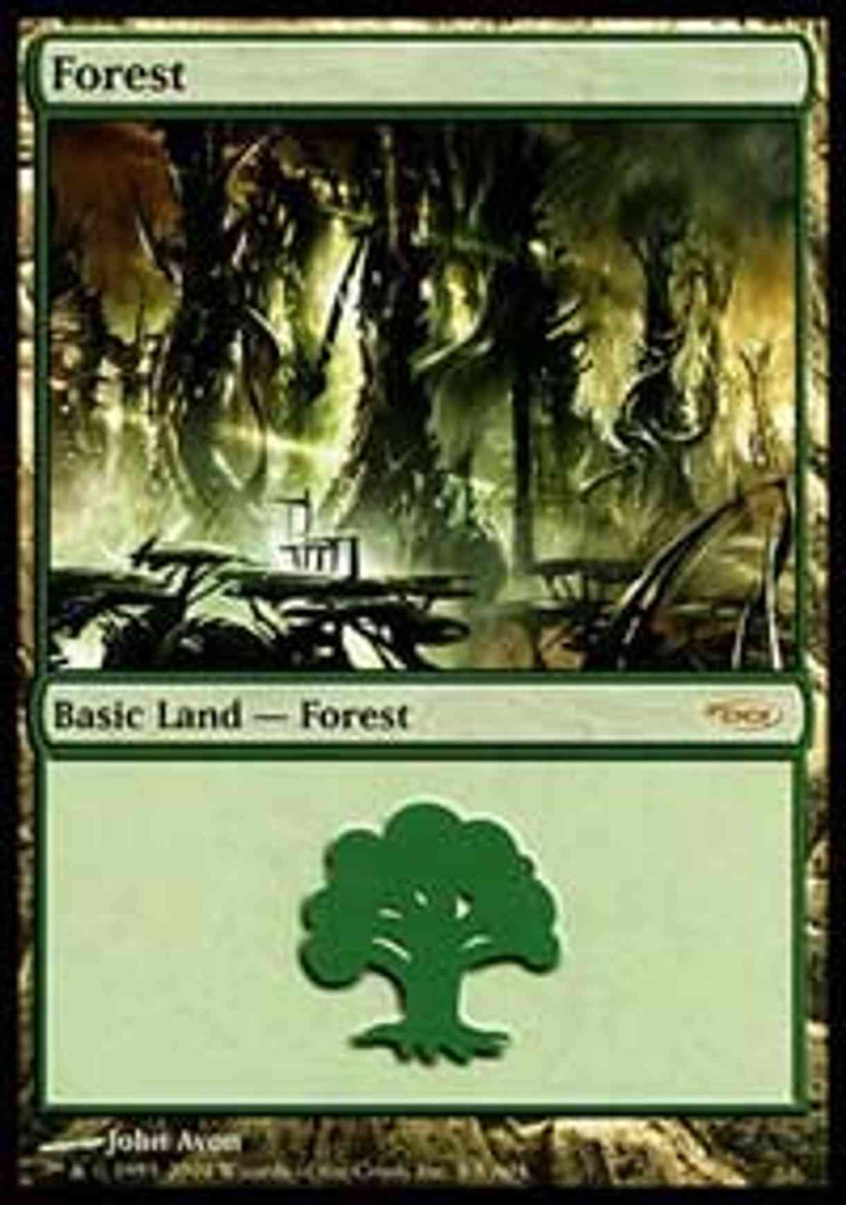Forest (2004) magic card front