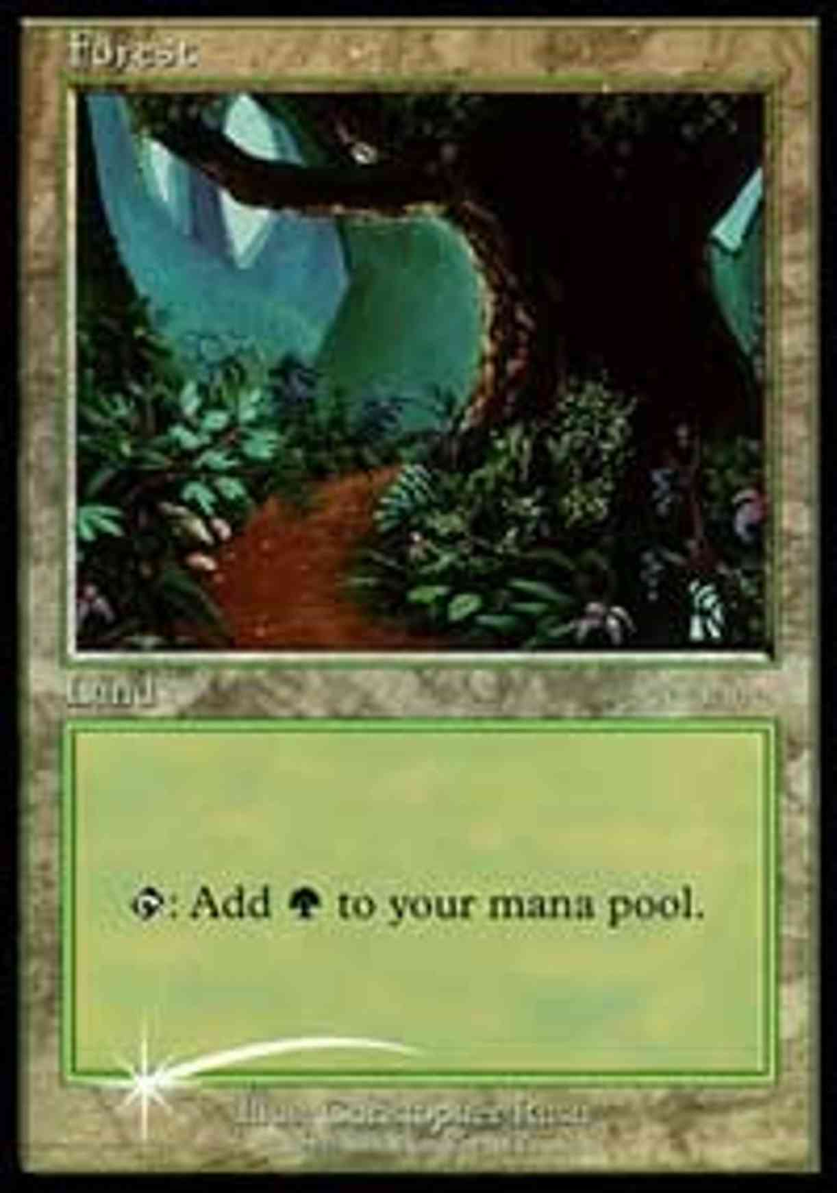 Forest (2001 Beta) magic card front