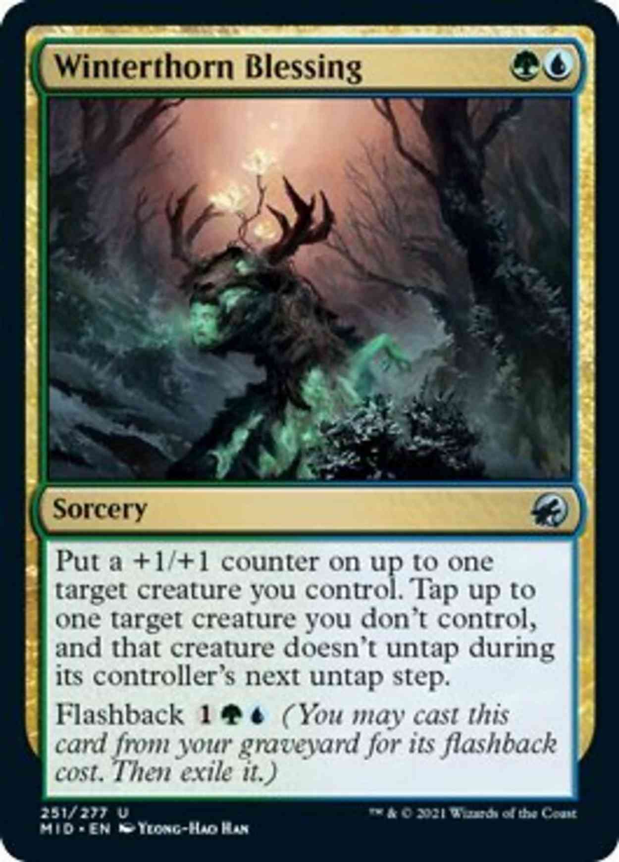 Winterthorn Blessing magic card front