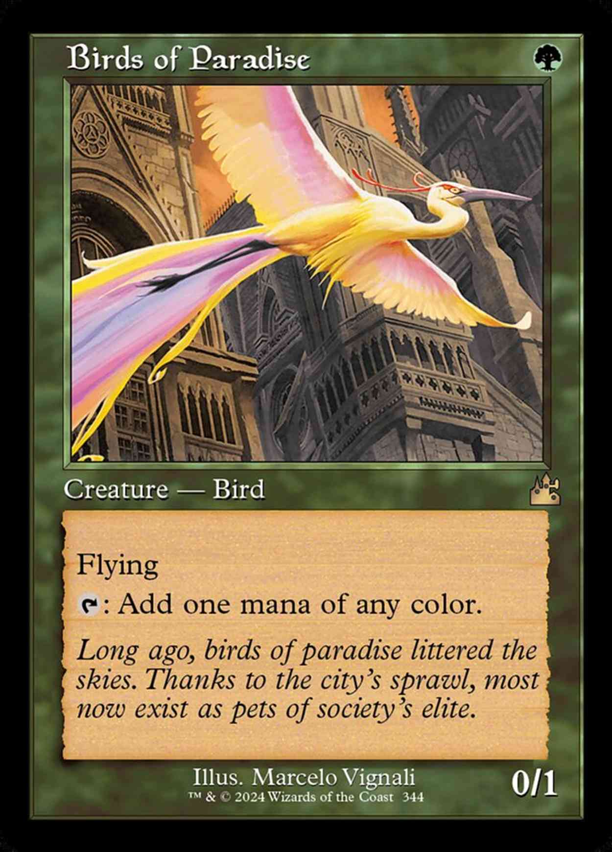 Birds of Paradise (Retro Frame) magic card front