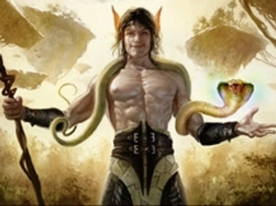 elf-shaman-ally