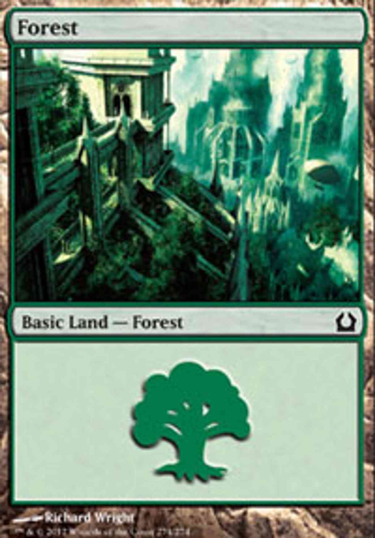 Forest (274) magic card front