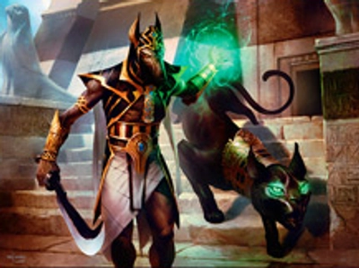 jackal-wizard
