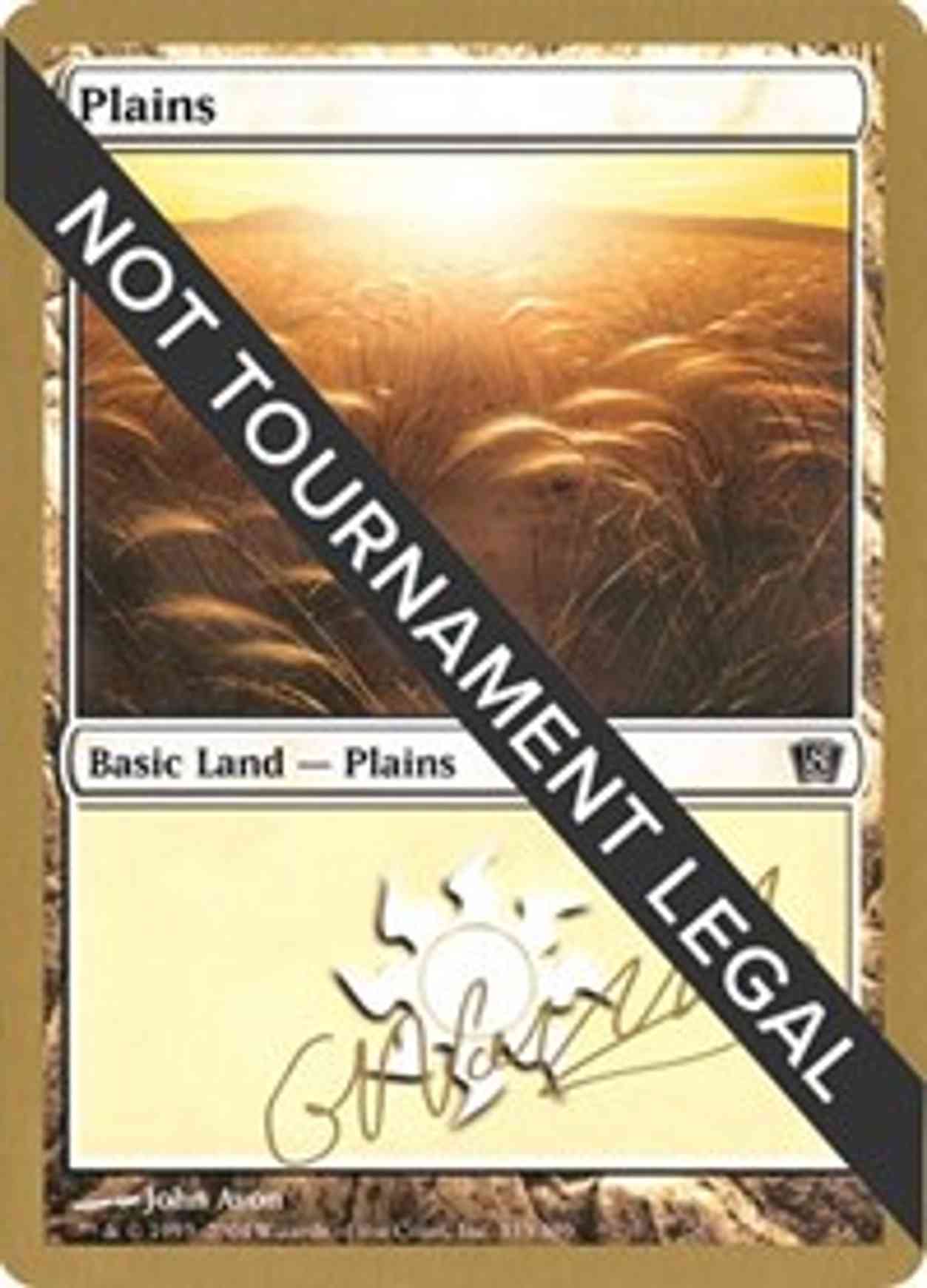 Plains (333) - 2004 Gabriel Nassif (8ED) magic card front