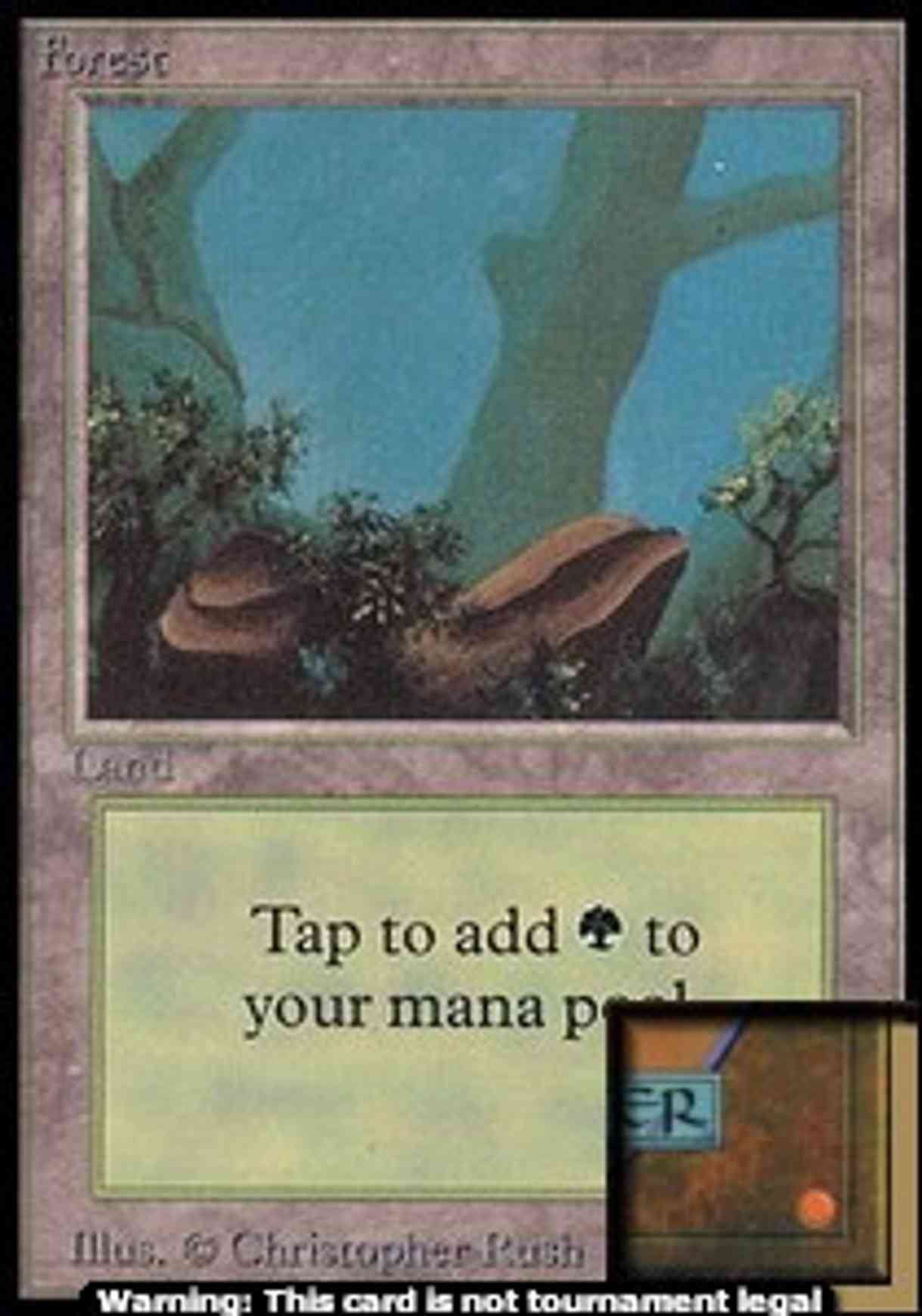 Forest (A) (CE) magic card front
