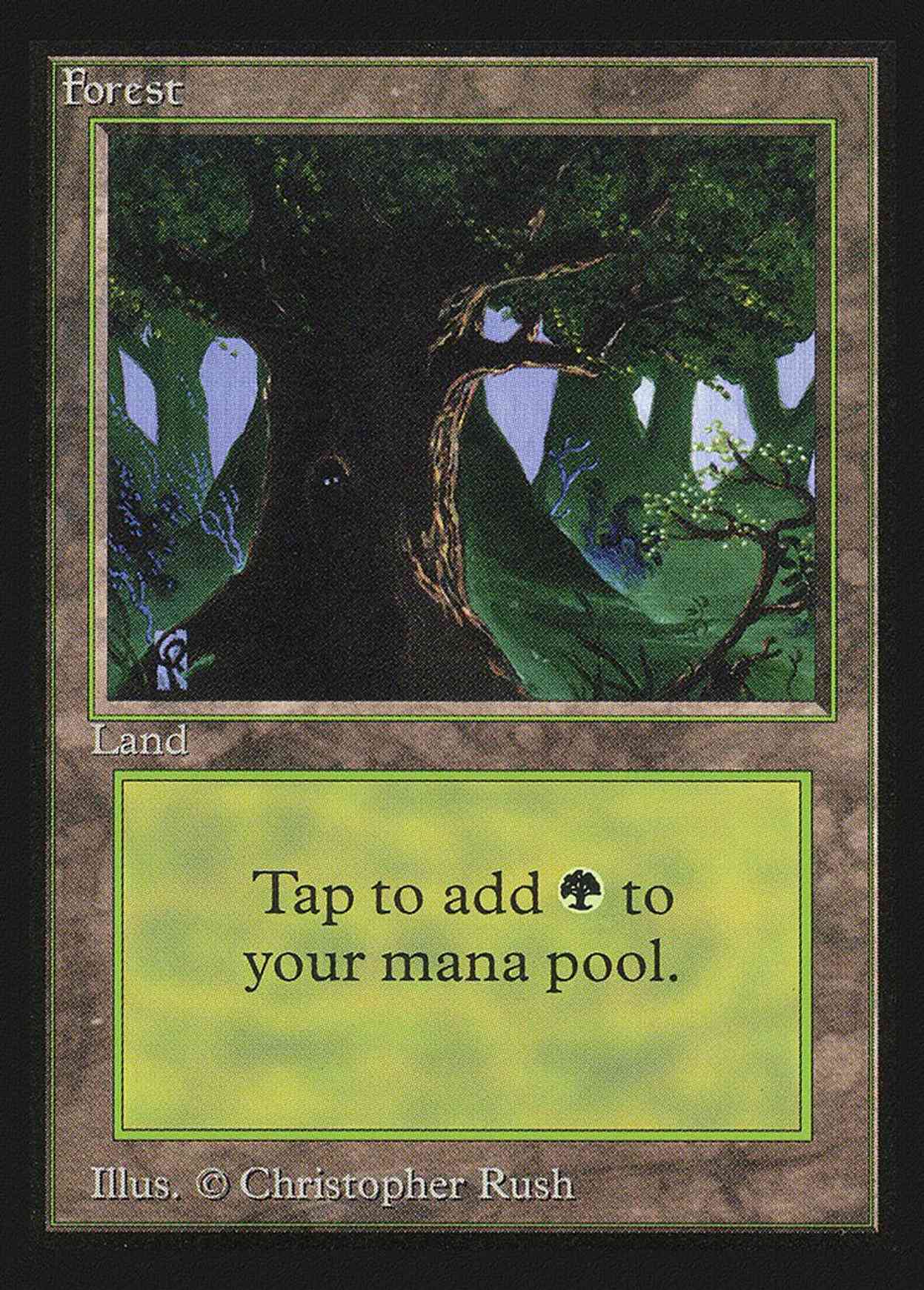 Forest (Eyes)(IE) magic card front