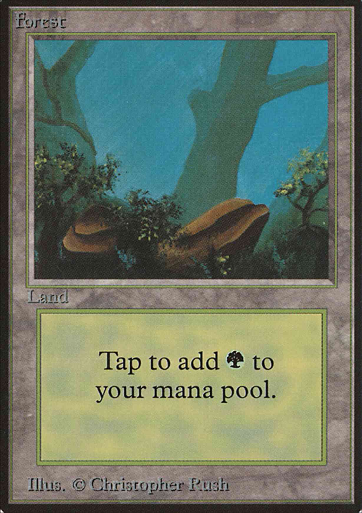 Forest (A) magic card front