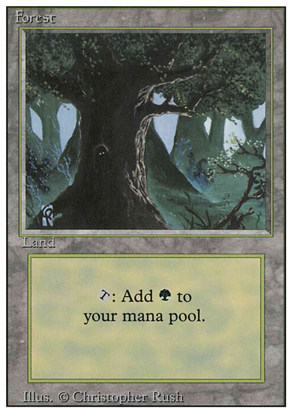 Forest (C) magic card front