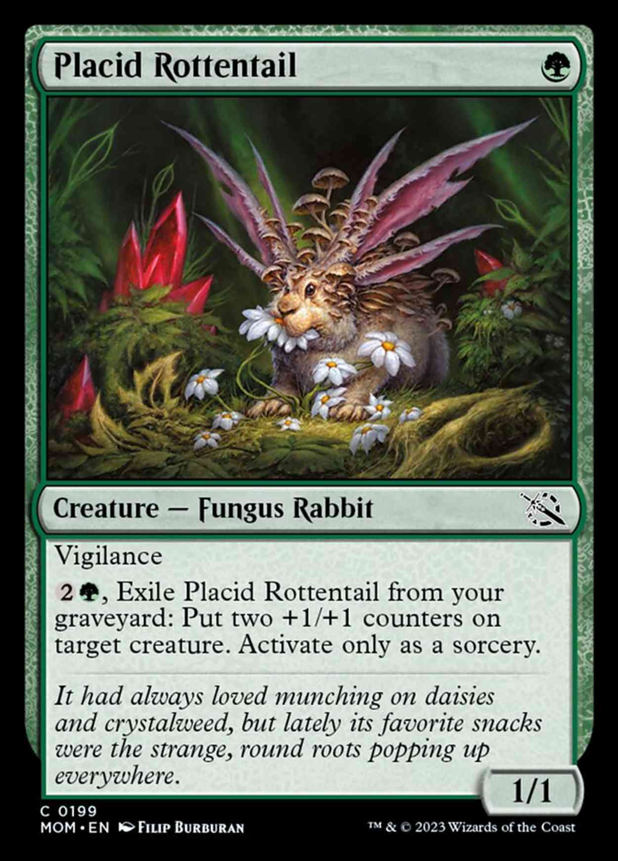Placid Rottentail magic card front