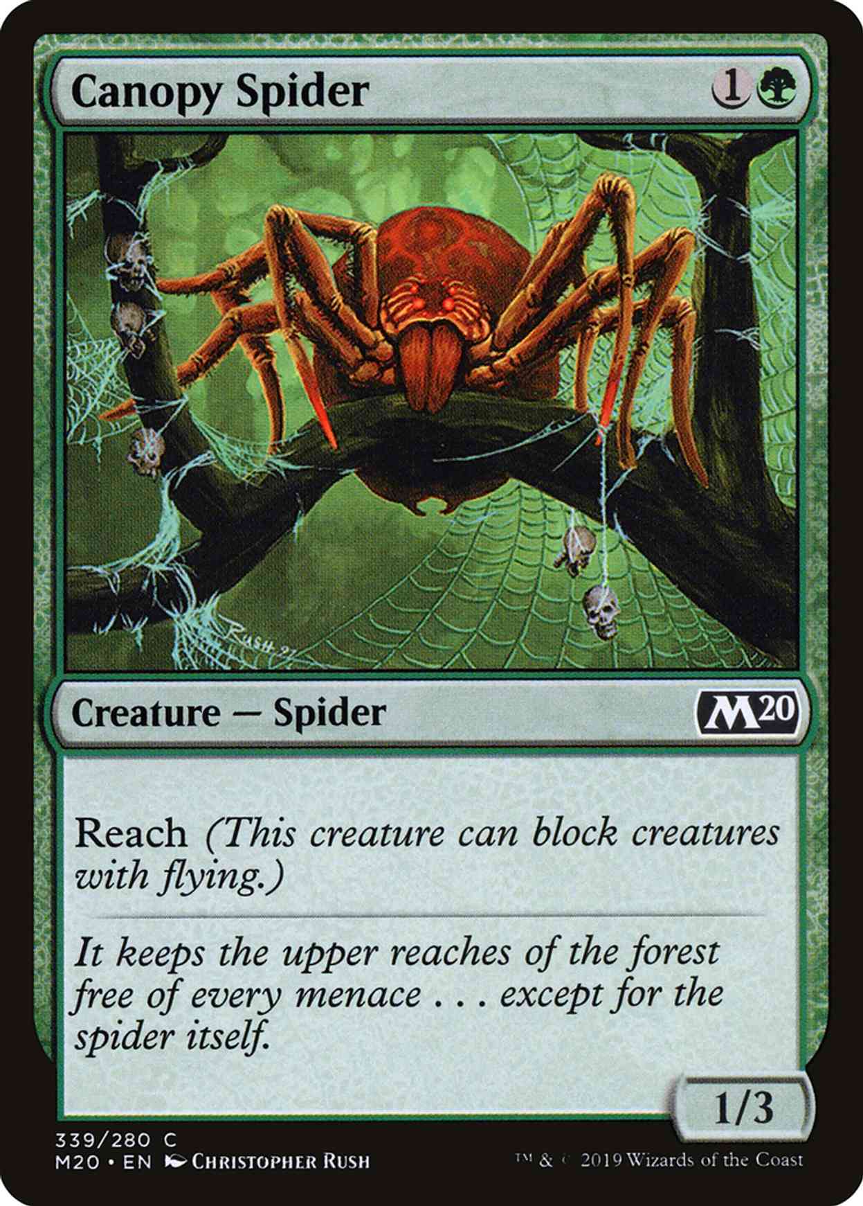 Canopy Spider magic card front