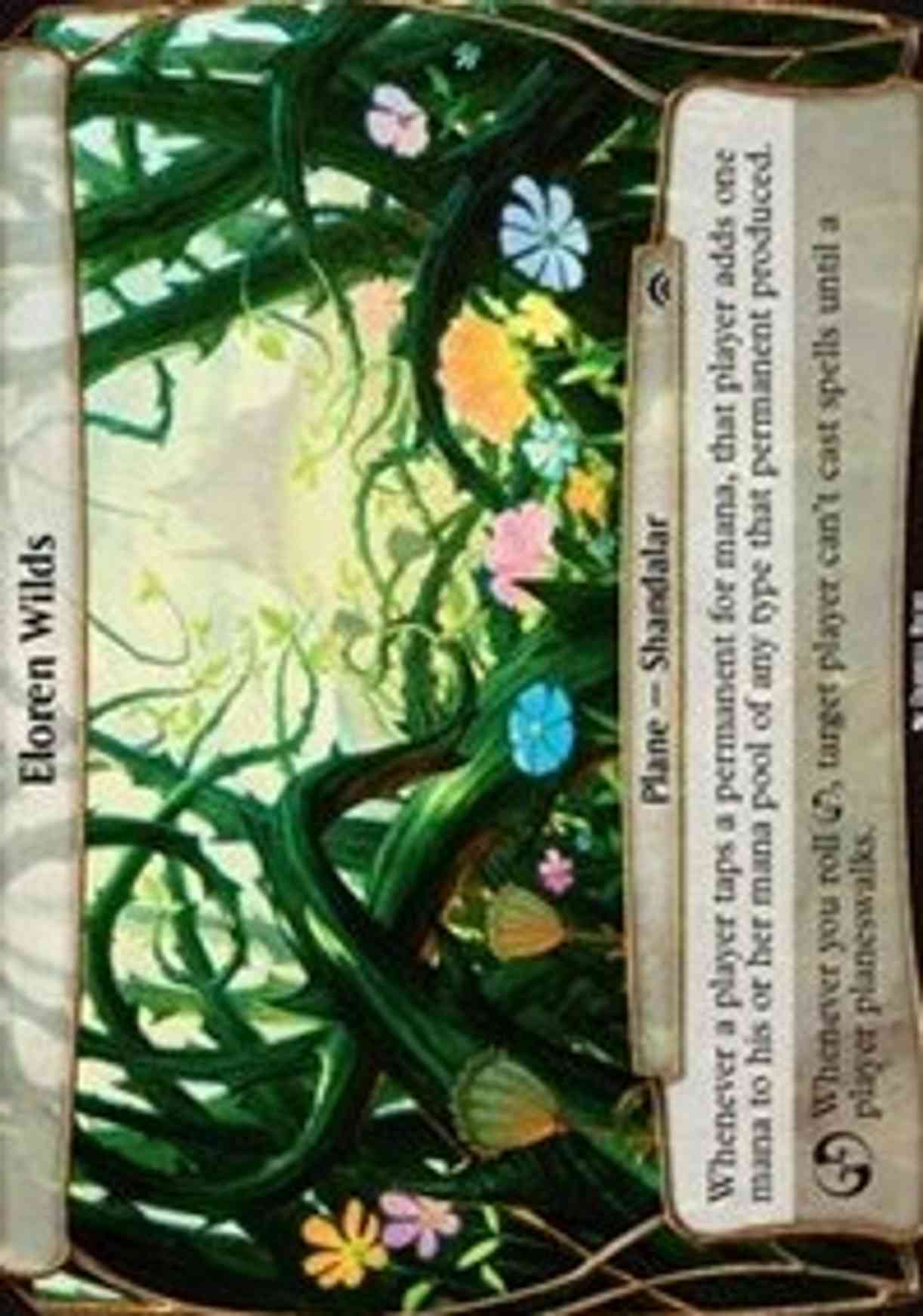 Eloren Wilds (Planechase Anthology) magic card front