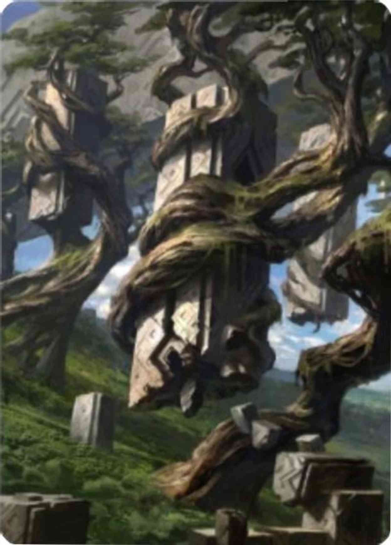 Forest Art Card (20/81) magic card front
