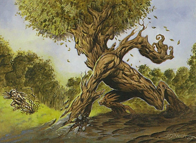 treefolk-assassin