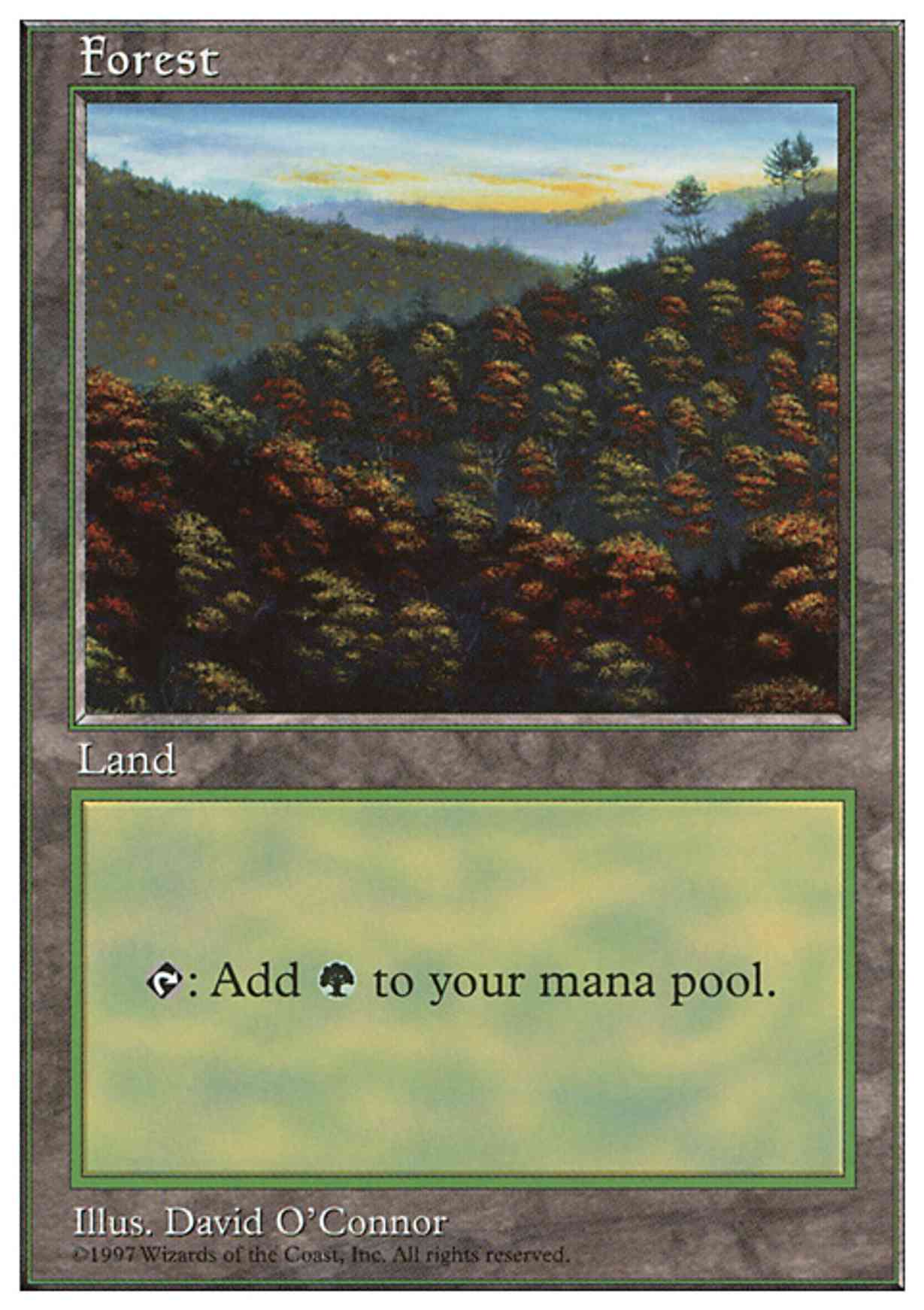 Forest (448) magic card front
