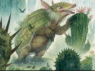 armadillo