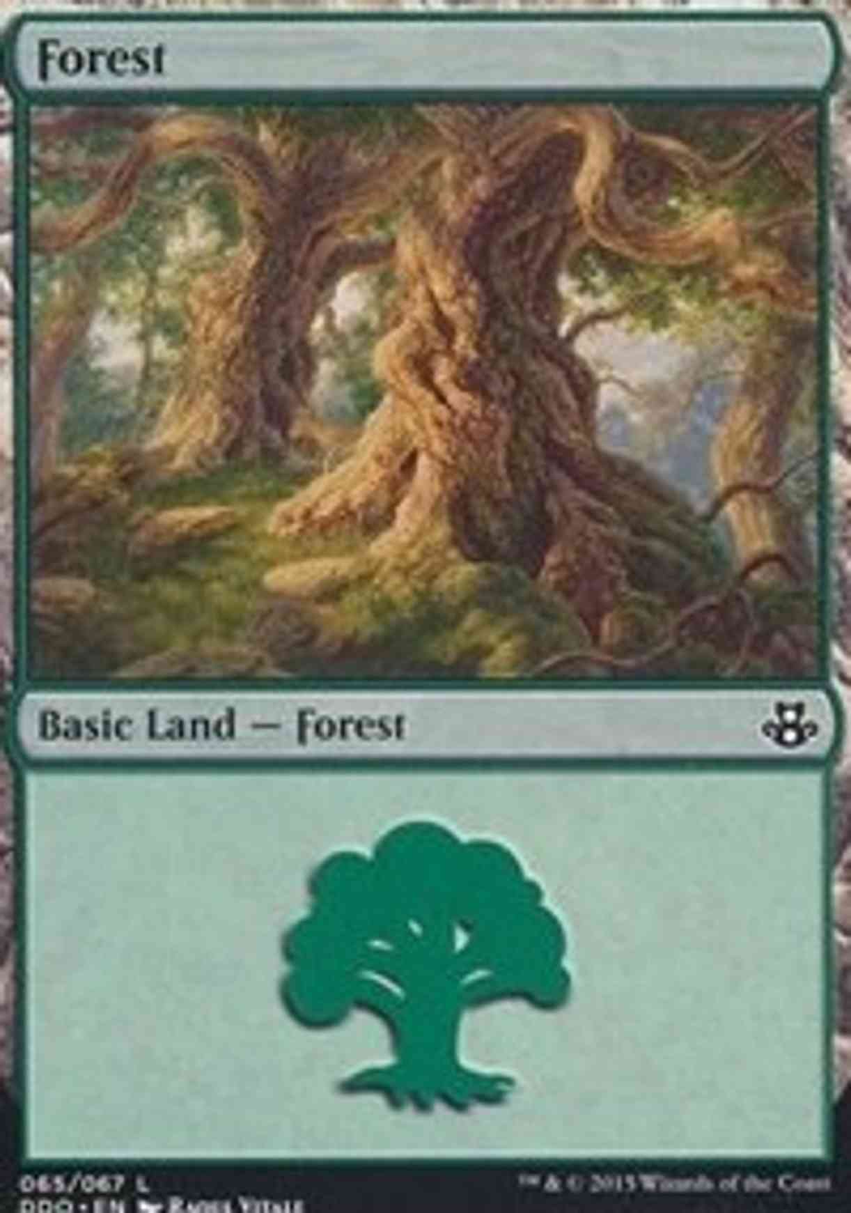 Forest (65) magic card front