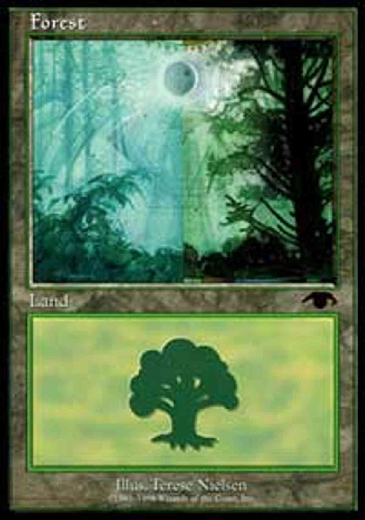 Forest - Guru magic card front