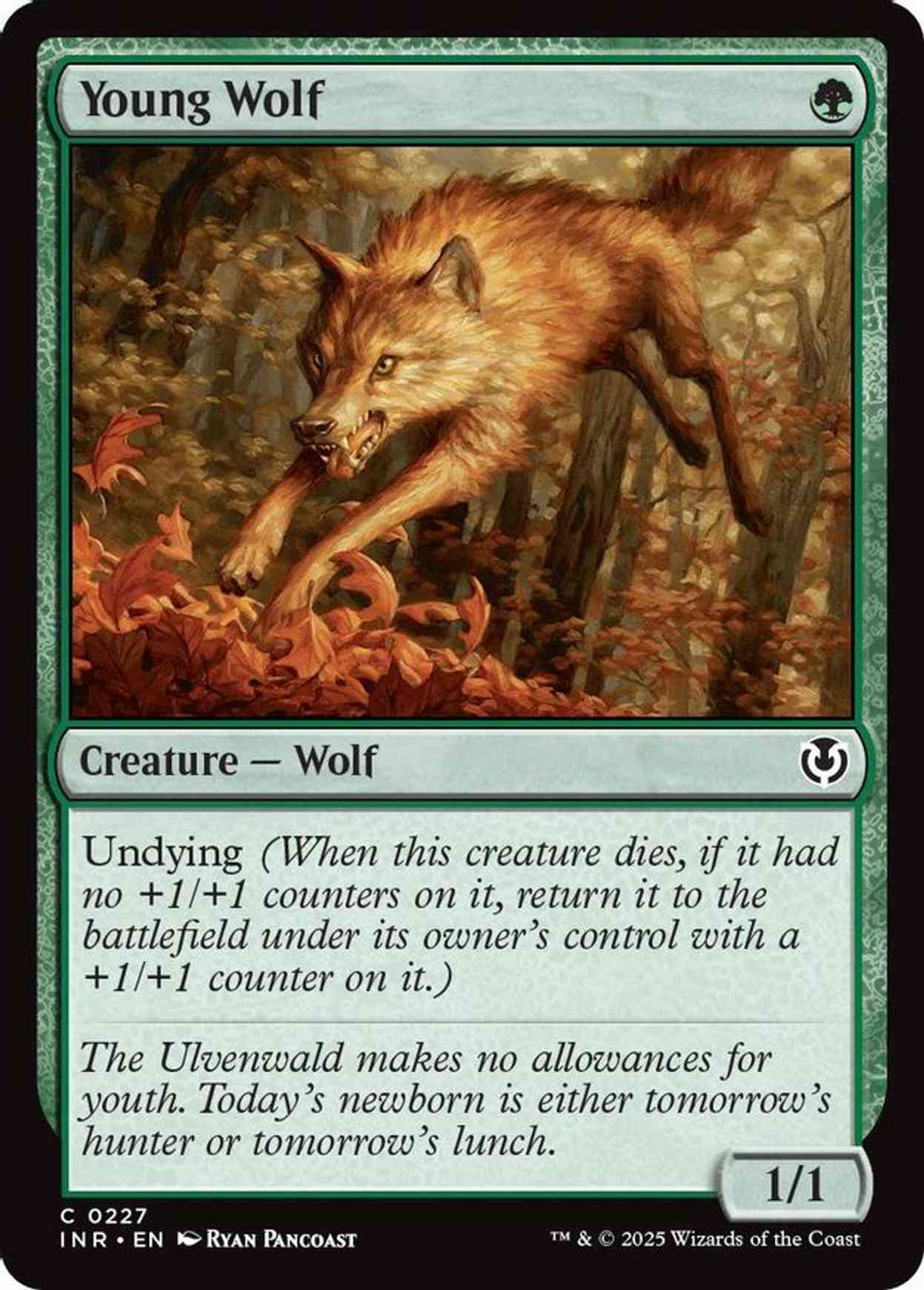 Young Wolf magic card front