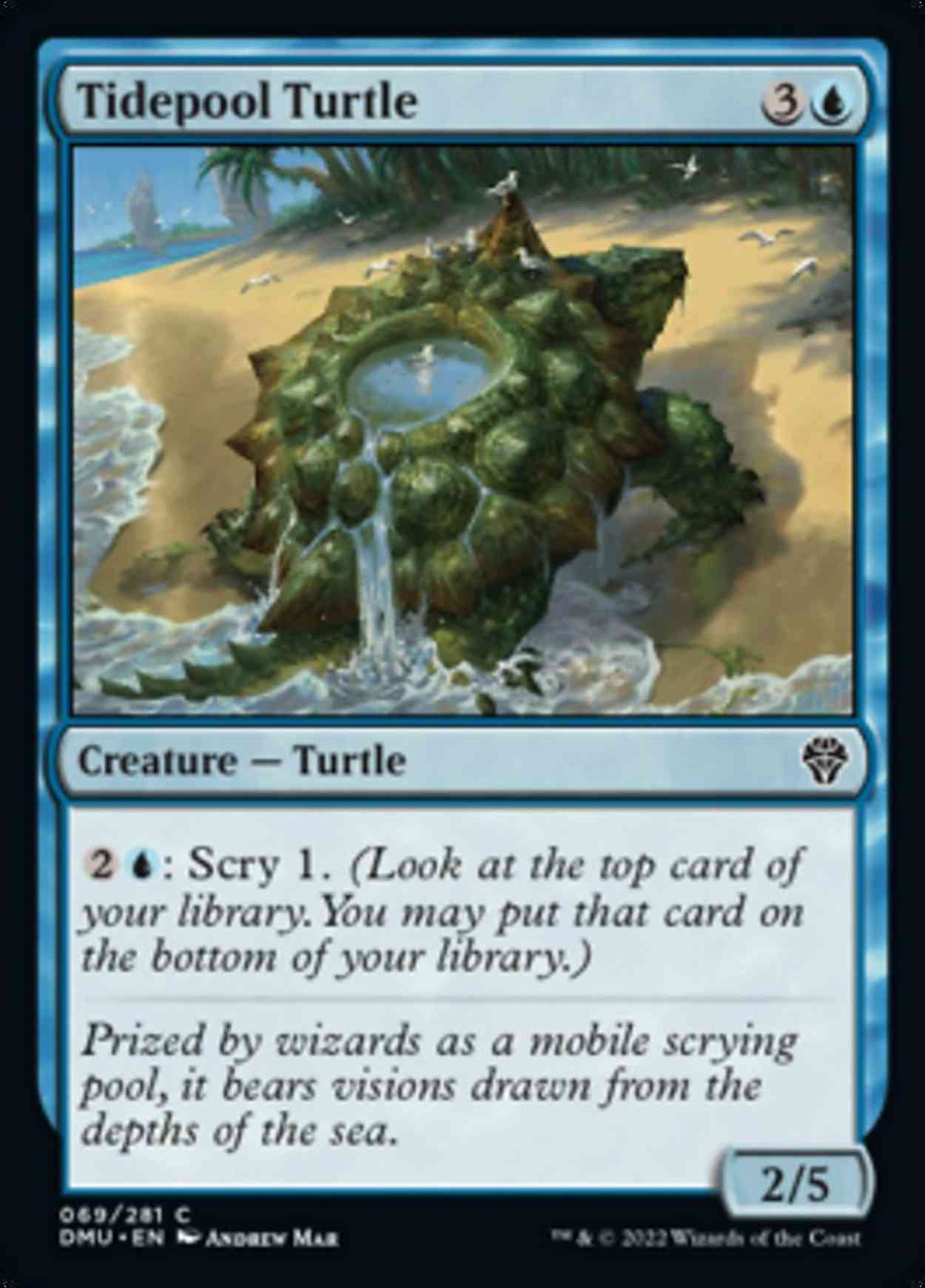 Tidepool Turtle magic card front