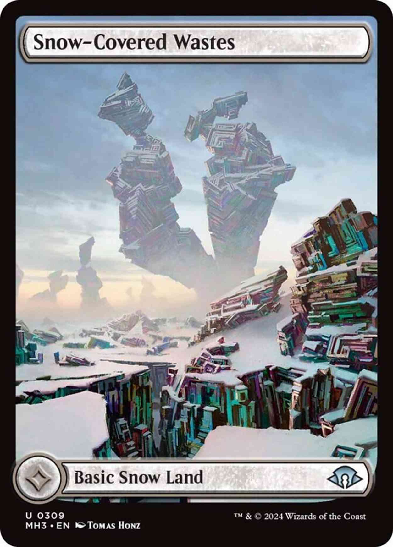 Snow-Covered Wastes (0309) magic card front