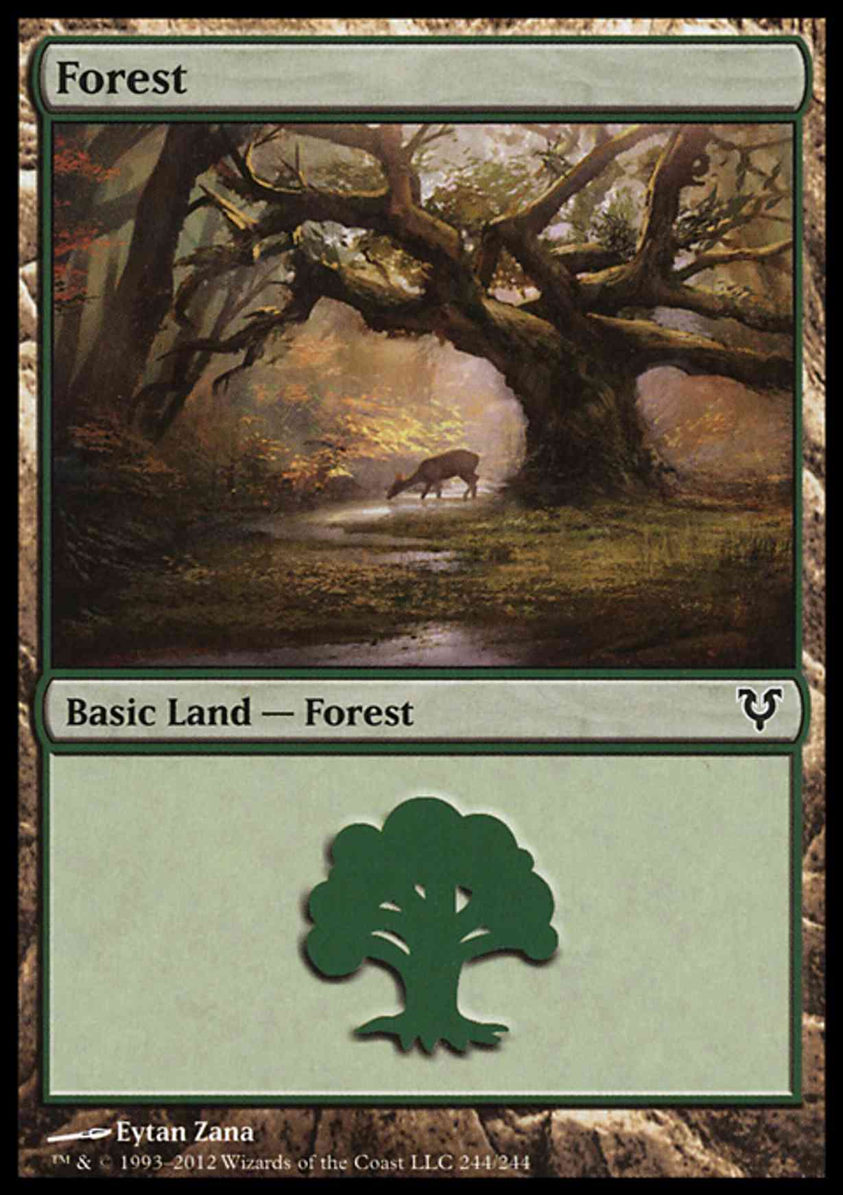 Forest (244) magic card front