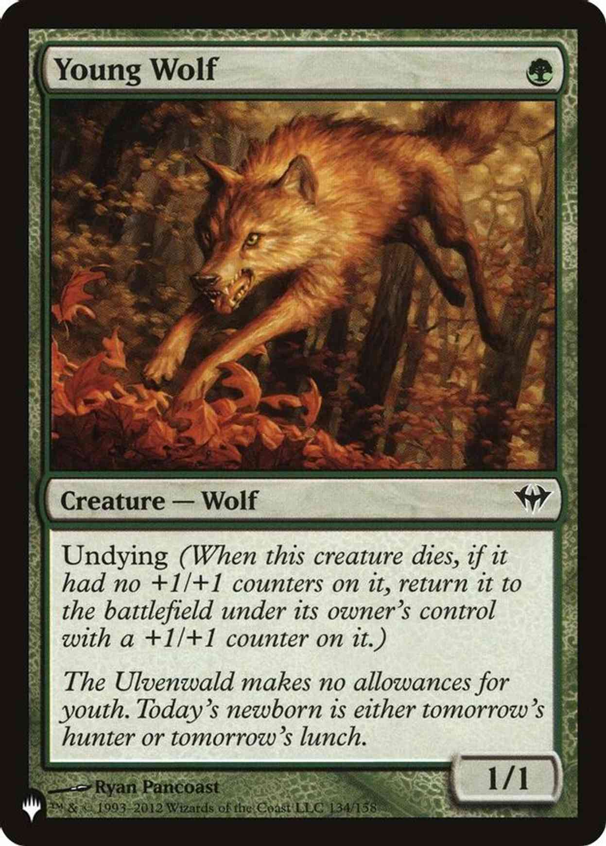 Young Wolf magic card front