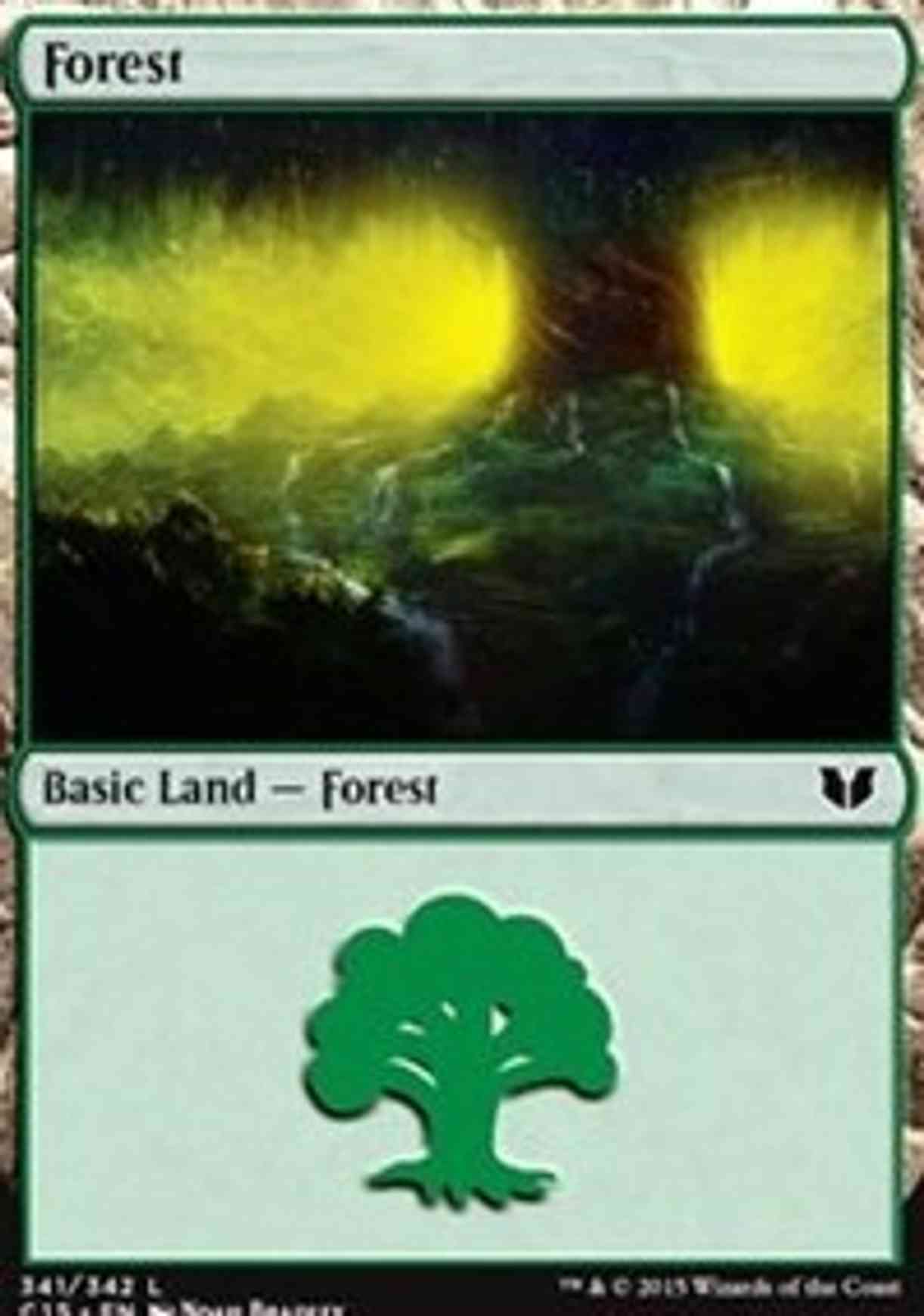 Forest (341) magic card front
