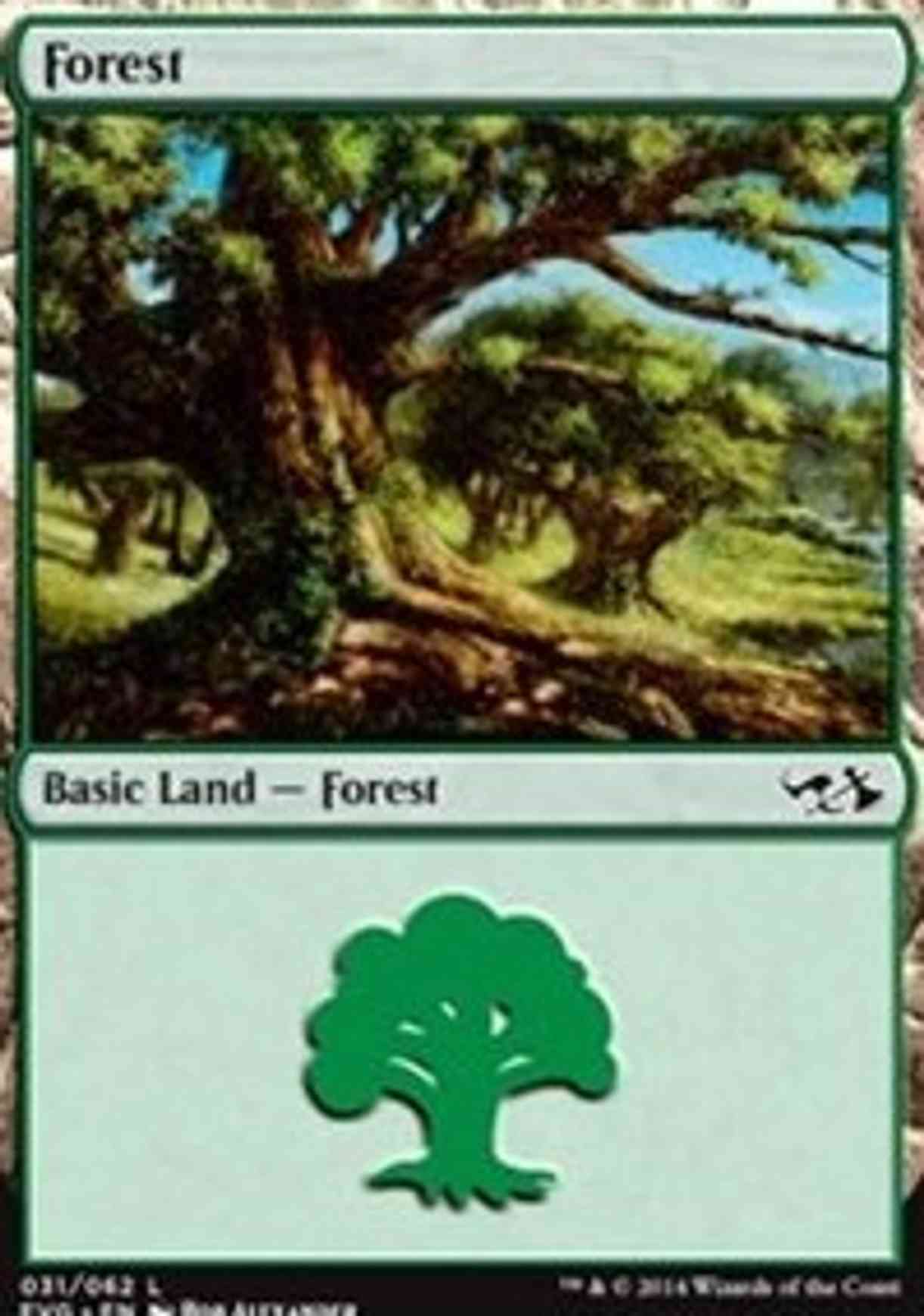 Forest (31) (Elves vs Goblins) magic card front