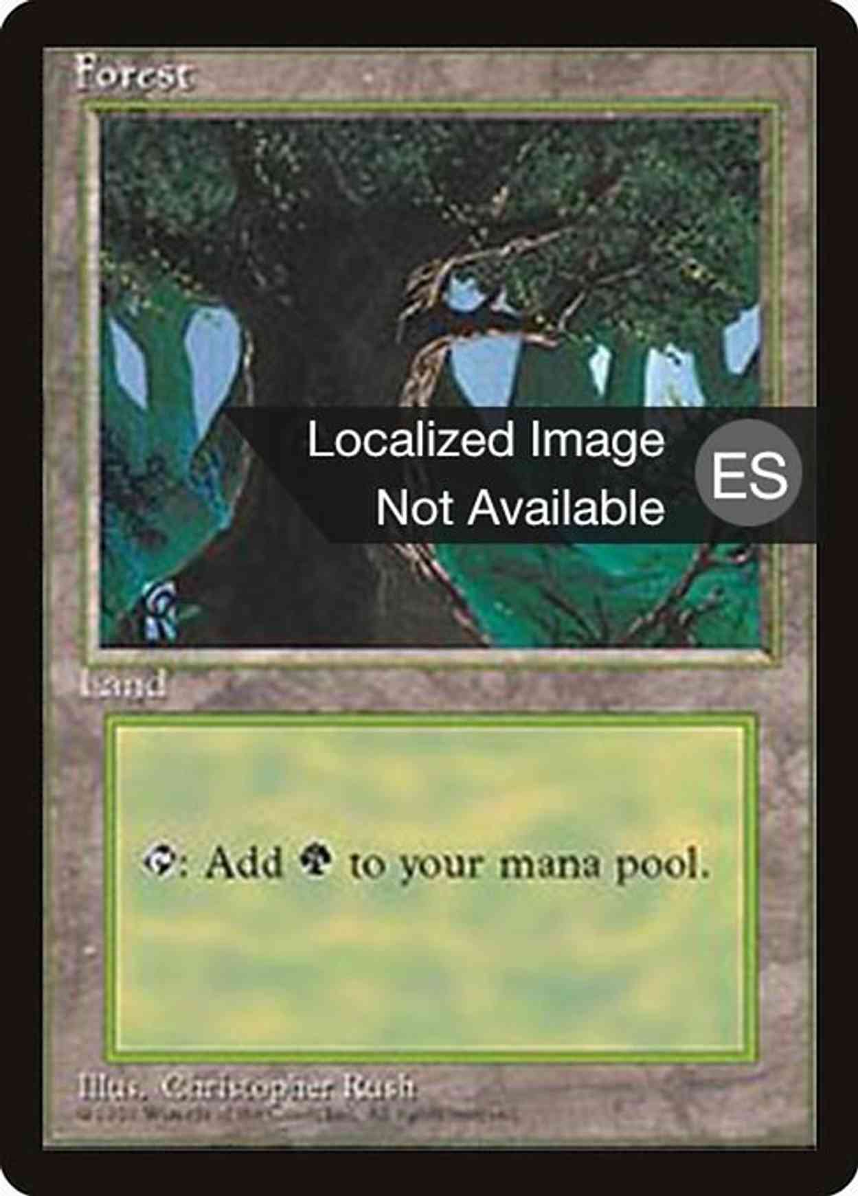 Forest (C) magic card front