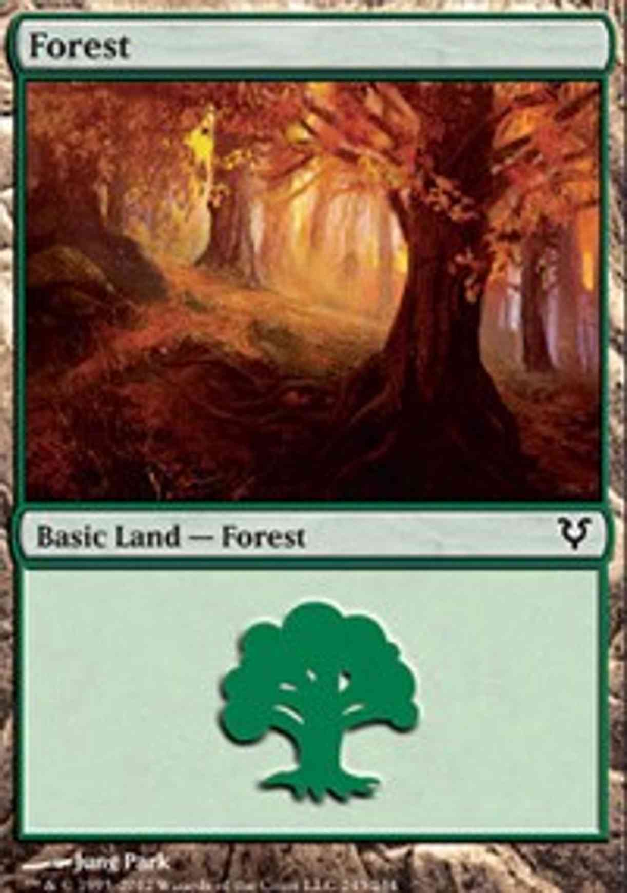 Forest (243) magic card front