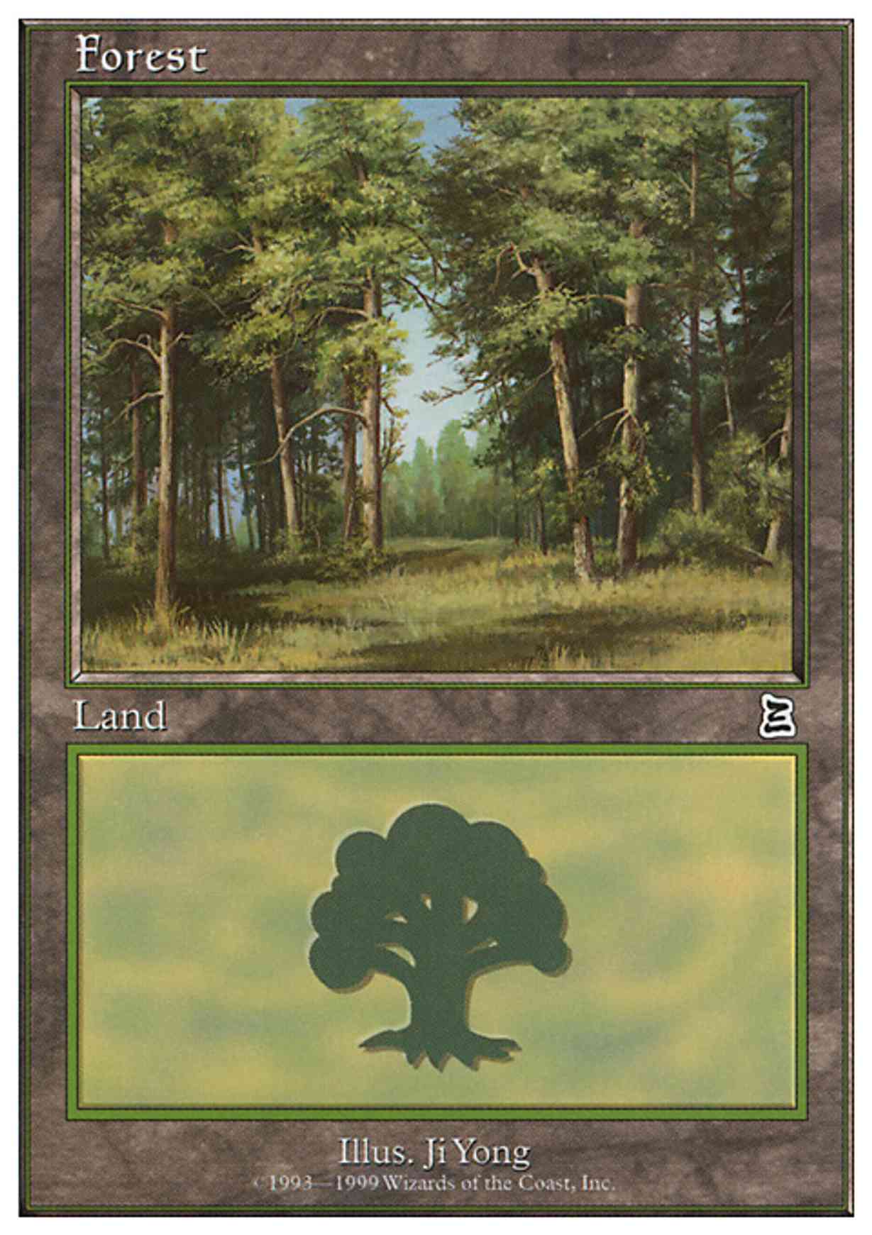 Forest (107) magic card front
