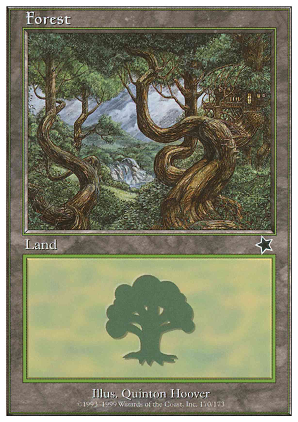 Forest (170)  magic card front