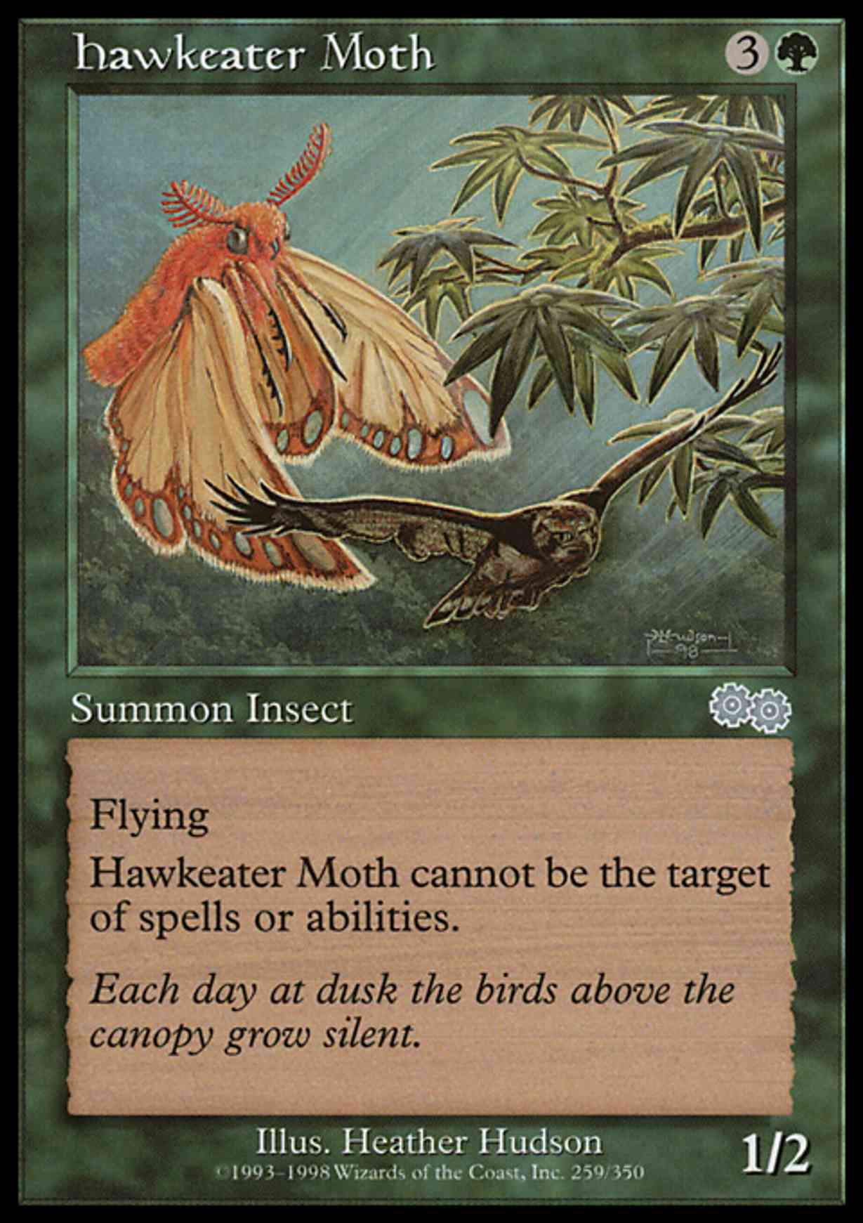Hawkeater Moth magic card front