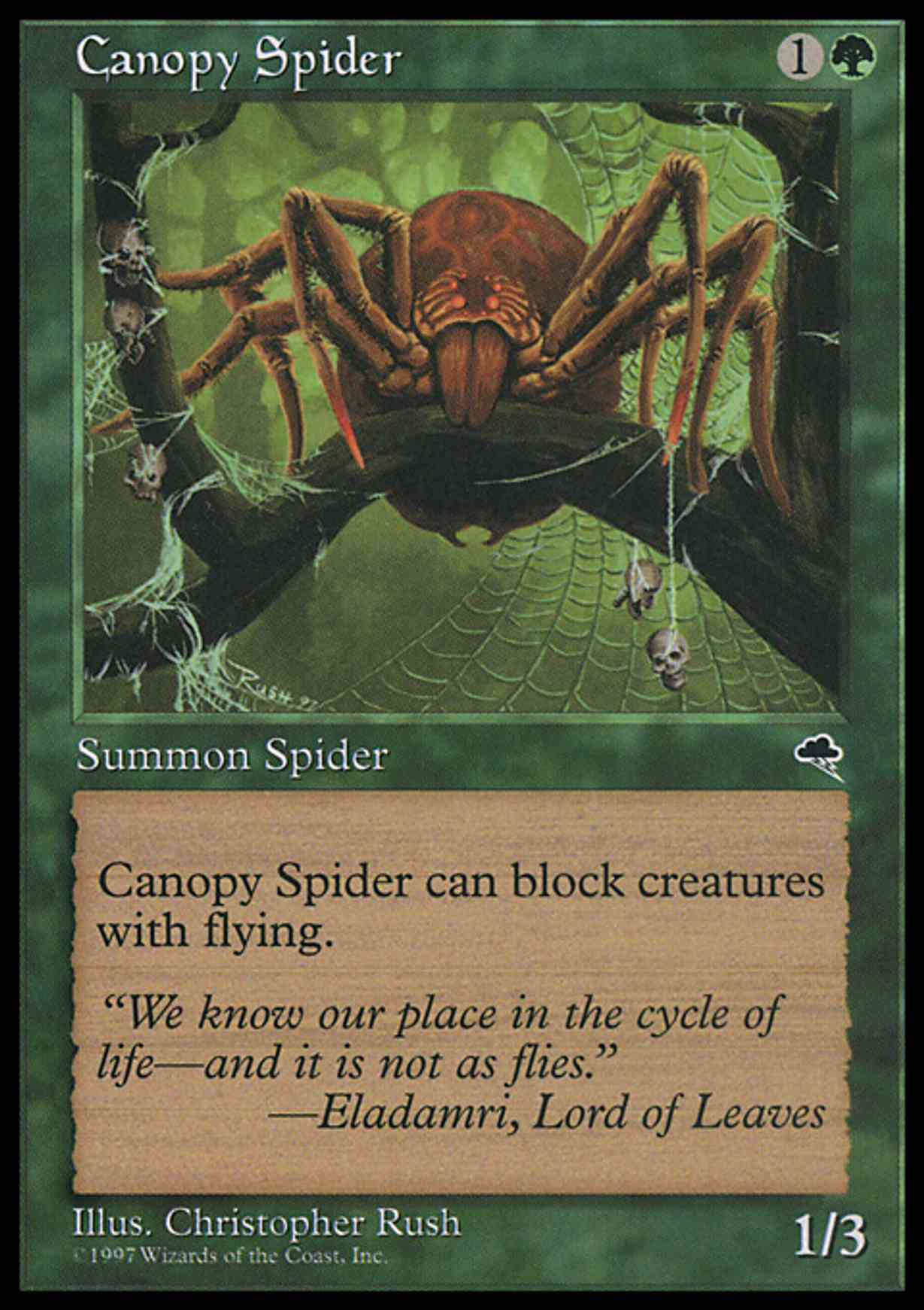 Canopy Spider magic card front