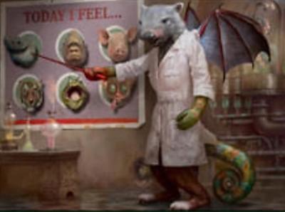 wombat-bat-chameleon