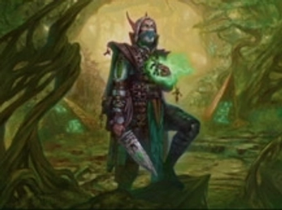 elf-druid-ally
