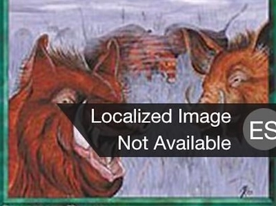 creature-boars