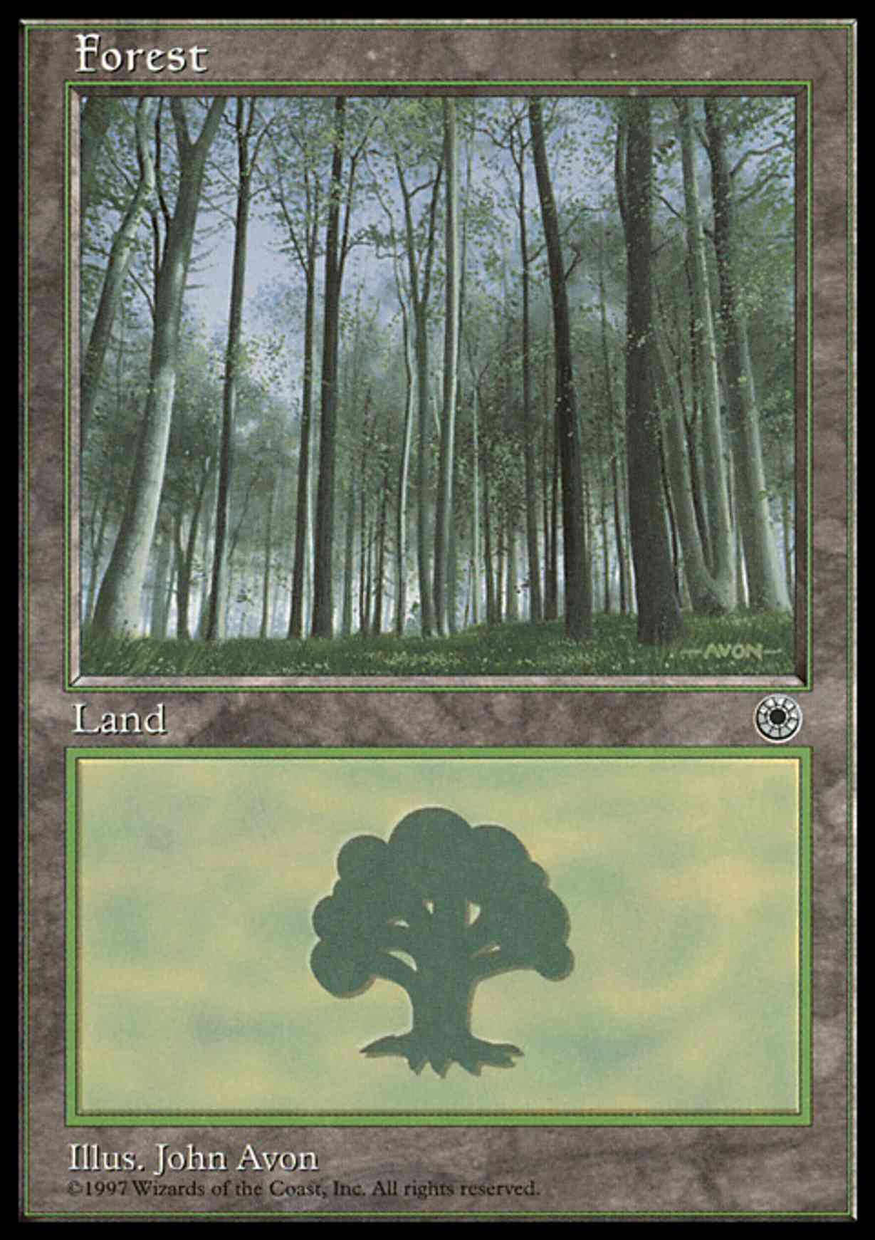 Forest (Pale Trees) magic card front