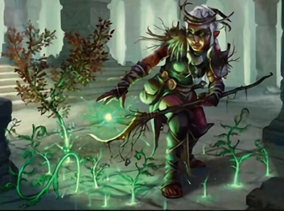 gnome-druid