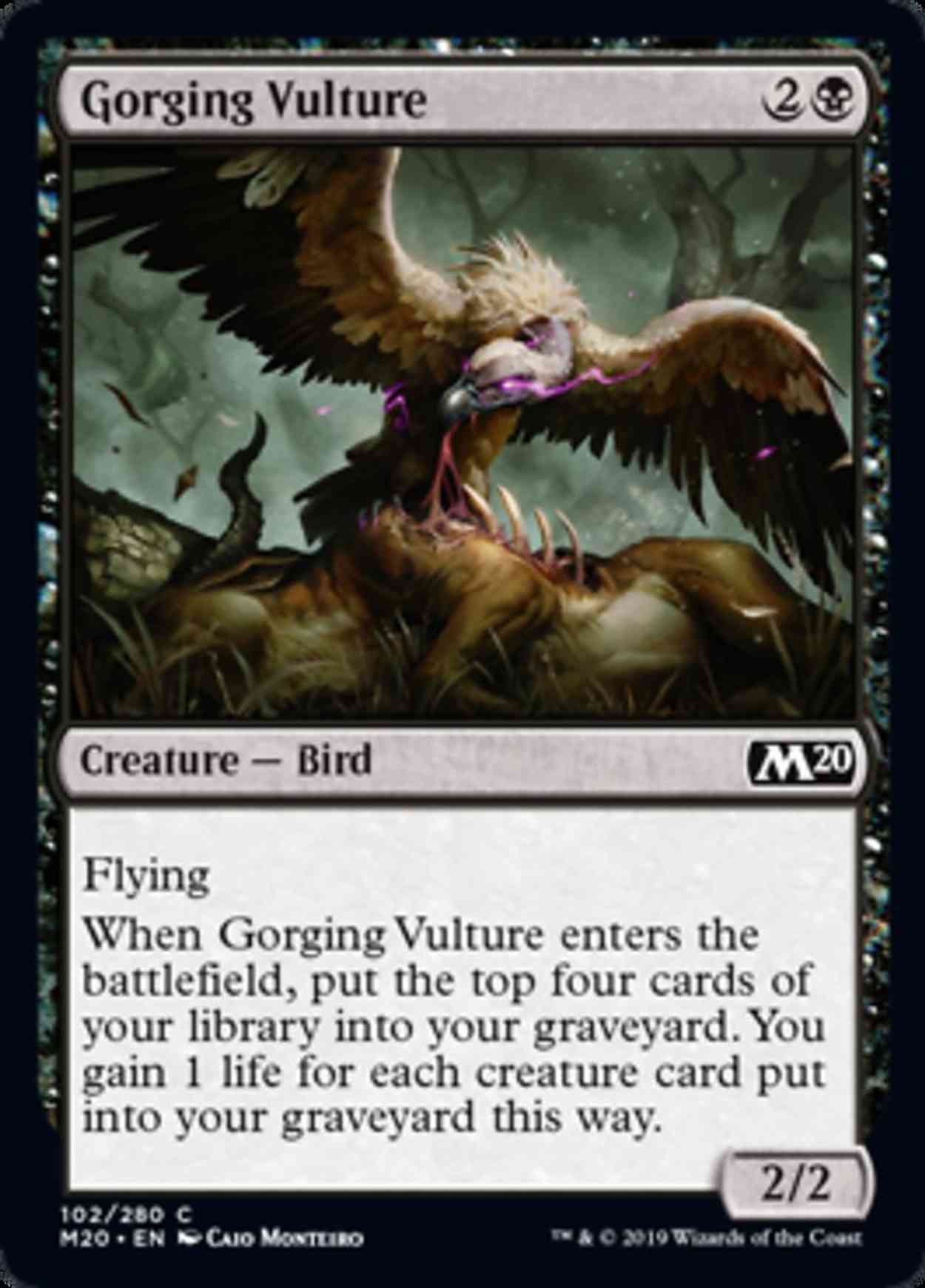 Gorging Vulture magic card front