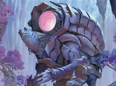 turtle-warrior