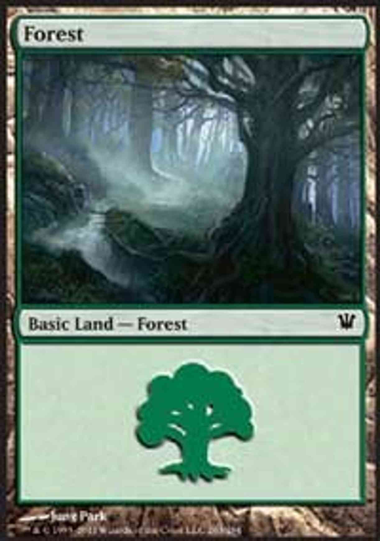 Forest (263) magic card front