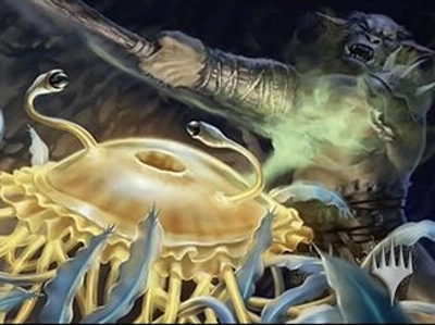 jellyfish