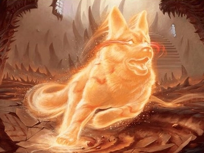 dog-glimmer